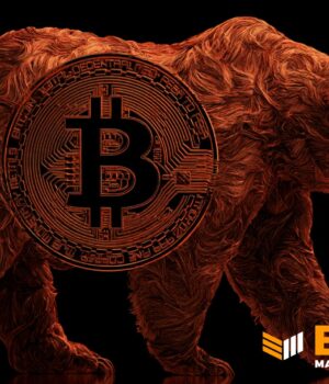 79-of-Bitcoin-Supply-Now-Locked-by-Long-Term-Holders.-Analyst-Sees-Bear-Market-Nearing-Exhaustion.jp_.jpeg