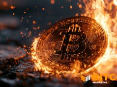 Bitcoin Price Plunges Below ‘Fire Sale’ Territory As Fear Index Reads 12 — Echoing The FTX Crash
