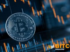 Massive Institutions Are Buying Bitcoin’s Crash