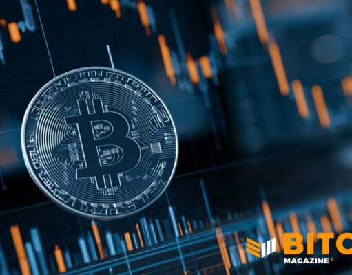 Massive Institutions Are Buying Bitcoin’s Crash