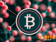 Second Launches Bark On Bitcoin Mainnet, Targeting Self-Custody UX Gap