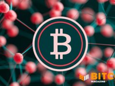 Second Launches Bark On Bitcoin Mainnet, Targeting Self-Custody UX Gap
