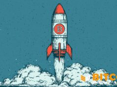 Public Companies Added 43,557 BTC In May As SpaceX Enters Bitcoin Treasury Race