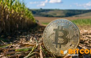 Tether-Backed Adecoagro To Launch Sugarcane-Powered Bitcoin Mining In Brazil