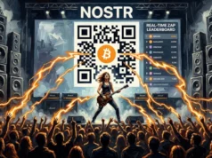 Bitcoin’s Niche And Futuristic Alternative Internet