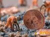 Bitcoin Mining Giant Foundry Asks Miners To Vote On BIP-110 Soft Fork