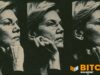 Elizabeth Warren Claims Clarity Act Would Help Trump