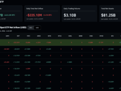 Seven Straight Bitcoin ETF Inflow Days Recover Just 15% of June’s Losses