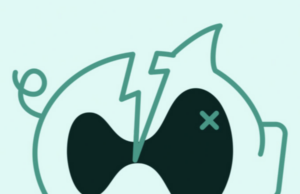 HyperLiquid lets influencers experience blowing up a fund