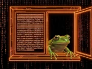 I Scanned The Entire Bitcoin Blockchain For Images. What I Found Will Shock You
