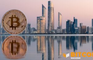 Abu Dhabi Sovereign Wealth Funds Keep Big Bitcoin Positions