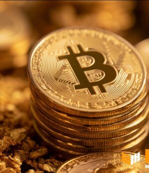 Edelman-Financial-Tudor-Investment-Reveal-Significant-Bitcoin-Holdings.jpg