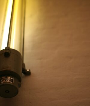 IMG_7465.jpeg