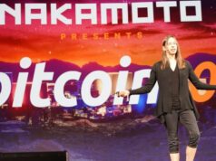 Bitcoin Could Attract More Buyers, Says Lyn Alden
