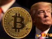 Forget The Trump Bump, Bitcoin Would Be Fine Under Democrats: VanEck