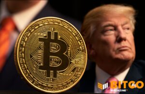 Forget The Trump Bump, Bitcoin Would Be Fine Under Democrats: VanEck