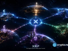 For BTC and XRP holders, learn these 4 steps to join XRPPower for free and explore daily earnings plans