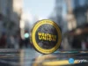 Western Union launches USDPT Visa card with Rain