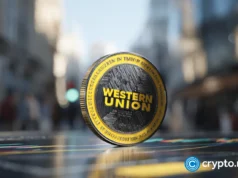 Western Union launches USDPT Visa card with Rain