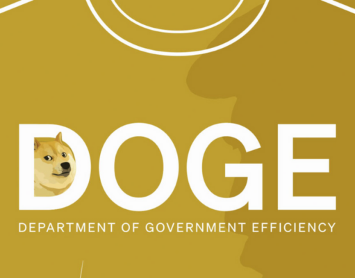 Trump sells DOGE shirts after Musk appointment, Dogecoin rally