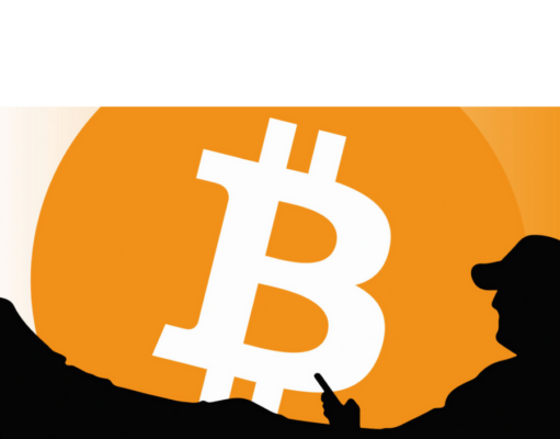 Bitcoin bet made on ‘pussy terms’ is about to make both parties bank