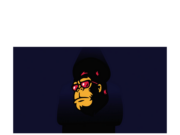 FEG token holders in despair after third hack causes 99% dump