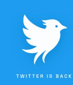 twitter-1.jpg