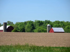 A Farmer Trusted AI’s Advice. It Cost Him 25 Acres of Crops