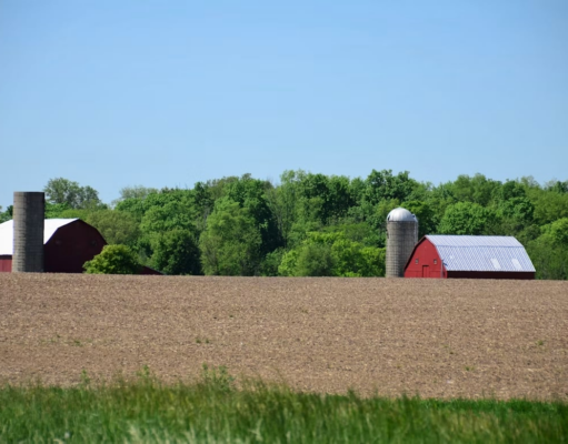 A Farmer Trusted AI’s Advice. It Cost Him 25 Acres of Crops