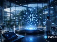 Cardano Foundation, UCLA partner on blockchain education