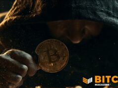 Ringleader Of $245M Bitcoin Theft Pleads Guilty