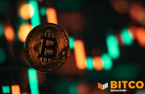 Bitcoin’s ‘Unusual Mix’: Report