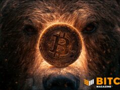 Bitcoin Bear Market May Not Yet Be Over, Says Fidelity