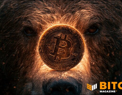 Bitcoin Bear Market May Not Yet Be Over, Says Fidelity