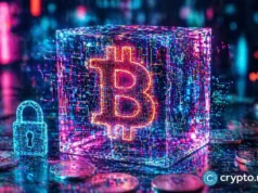 Bitcoin investor recovers $4.5m after 12-year wait