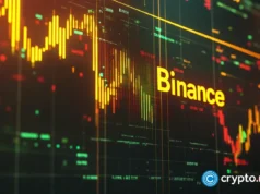 Binance takes $100 million stake in Circle with five year USDC agreement