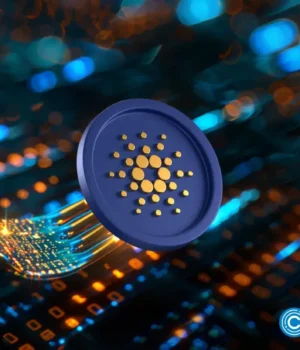 crypto-news-Cardano-Chang-hard-fork-option01.webp