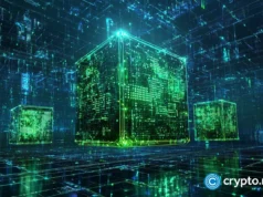 MultiversX investigates potential mainnet issue