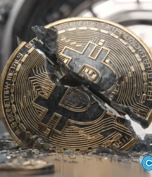 crypto-news-The-best-Bitcoin-treasury-companies-will-evolve-into-outliers-option04.webp