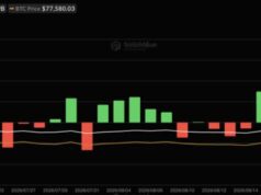 Bitcoin ETFs Snapped a 9-Day Streak: Does One Bad Day Mean Anything?
