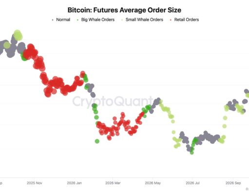 Retail Traders Have Left Bitcoin Futures: Can BTC USD Sweep $80,000 and Bounce?