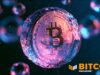 Liquid Network Announces Final Stages Of Recovery