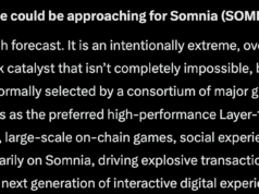 Elon Musk’s Grok AI Predicts SOMI Crypto Could Explode by 2027